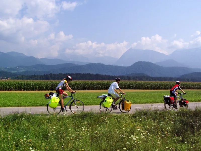Haul That Growler Home: The Real Cyclist's Guide to Transporting Craft Beer Without Breaking a Bottle (or Your Back)